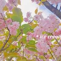 ·Ͻ˳ȥ˸ɽҪƱ