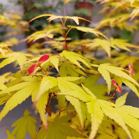 ͣ��������������������ơ�����̨������