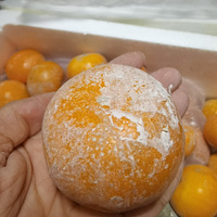 ̣֭ǳԹûʳڰ