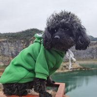 �Լ�̩������С�����Ҽҳ�