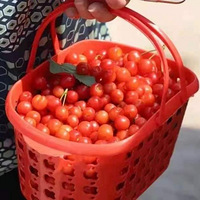 ڱɽժѪȵģժӣӴ
