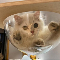 ������������Ѿ�ռ�����ҵ���ᣡ