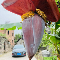 ޶