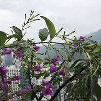 �ҵ�С��̨�ļ��л���������ơ�����̨������