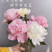 ��ҩ���������~ͻȻ�룬Ҫ������һ�Σ���Ҫ����ҩ������