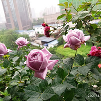 �¼�����̨��������ơ�����̨������