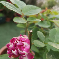 ����ķ�����������ơ�����̨������