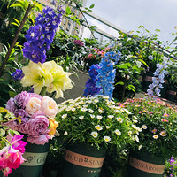 ռ��������С԰��������ơ�����̨������