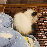 è��ֻ��Сʱ��źÿ��𣿣�