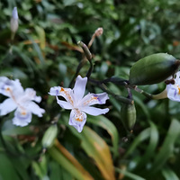 4�µ���Щ��������