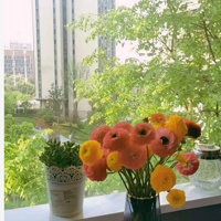 æµ��װ��С�ף�Ҳ��������װ������ķ���