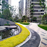 װ��С�ǡ�2021����װ���ռǡ�