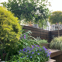 ���������Լ������ܻ�԰��2020����̨������