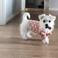 �Ҽ�ë�����������Σ�����