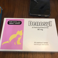 ��ŵʿ��ٱ��