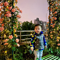 �Ҳ��߹�԰��������ơ�����̨������