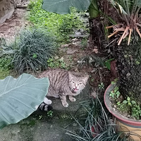 ���ϳ���������������