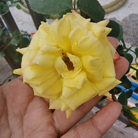 ��Ұ��ҿ������������ʲôƷ�ֵ��¼���