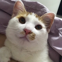 ɹɹ�Ҽ�������