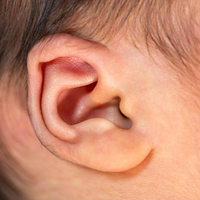 ʵ1Ůͯ˫ʧϣֻδ3ؼվ