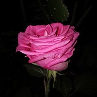 һ��һ��ɹ������