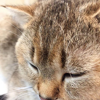 �Ҽ����䣬�۾��������ǳ��󺣣�