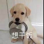 ڵȵˣϣʵҵţźСϺɣ