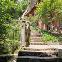鵽
