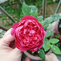 ���µ���Щ��������