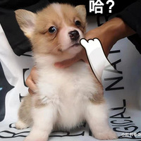 ���������µ�С�ֻ���