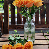 �����õ��ϵ�лԻ�+��������