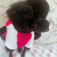һֻ����һ���ң����Ƕ��ǵ�����