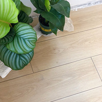 ����ľ��ש���졫