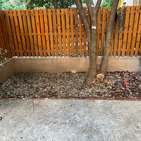 ͺ�˿������С��԰���ڸ�����������ơ�����̨������