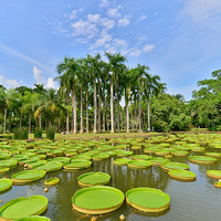 һ˵߾ߵС˫ɡֲ޵ء