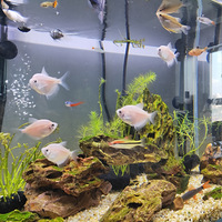 15��65ƽ�ҵ�СС�ң���׶��ӳ�ϲ��~~