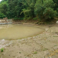 ��ʳ�Ѱ����ǲ���ÿ�����˶���һ����������