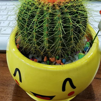 һܻ