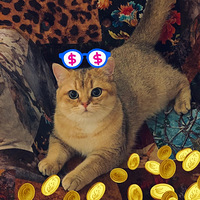 ��С��4:��������С����ʵ��è���Ĳ�������ָ�տɴ���������