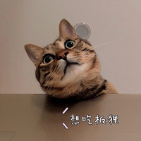 ɹһ���ҵı�������