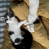 Сè�䡫����