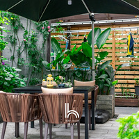 �������ǡ�ɽ�µ����ȡ�ɽ�ϵ��徻����ѡ��Ҫ��