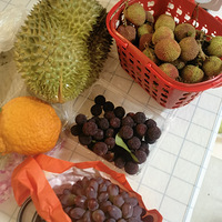 ЩƽʱϵҵĶȥ520ȥˣֻгԶܴ