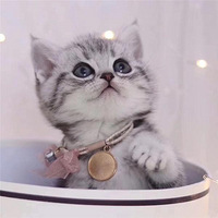è�������ļ���С���ף������Сϸ�ھ���������