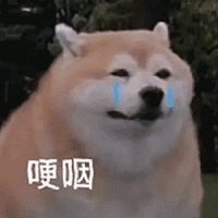 ½wanghongϲָ£ƯСൽֱ