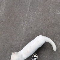 С����ż����è