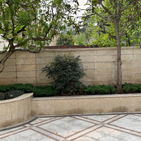 �ȴ�һ���£�����������̳�����ˣ���