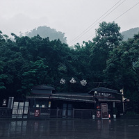 뷢Ȧ