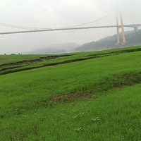 컹ЩطֵǶ̾Լεģ