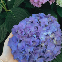3������޾��� һ���һ�꾪ϲ